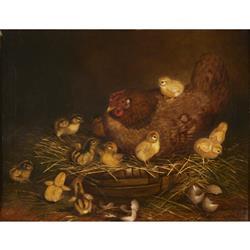 Eleven Chicks And Hen by 
																	Ben Austrian
