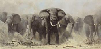 Mostly Elephants by 
																	David Shepherd