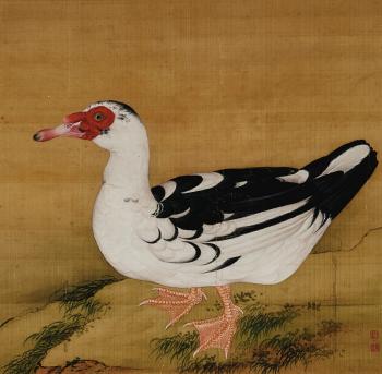 Duck by 
																	 Jiang Tingxi