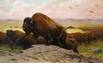 The Migration of the Buffalos by 
																	Georges Frederic Rotig