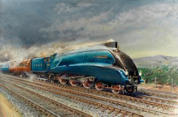 Mallard by 
																	Terence Cuneo