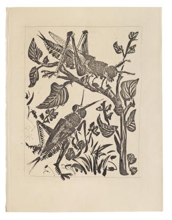 Le Sauterelle; La Langouste, from Histoire Naturelle (Eaux-fortes originales pour des textes de buffon), 1936 (2) by 
																	Pablo Picasso