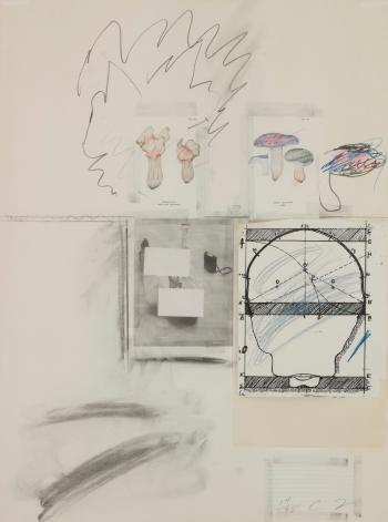 No. II, from Natural History Part I: Mushrooms by 
																	Cy Twombly