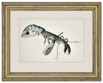 Lobster by 
																	Lucian Freud