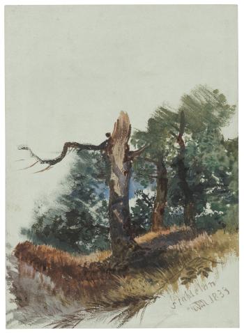 Sketch of trees at Stapleton, Bristol by 
																	William James Muller
