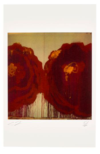 Painting Detail (Roses) by 
																	Cy Twombly