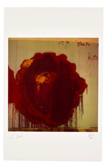 Painting Detail (Roses) by 
																	Cy Twombly