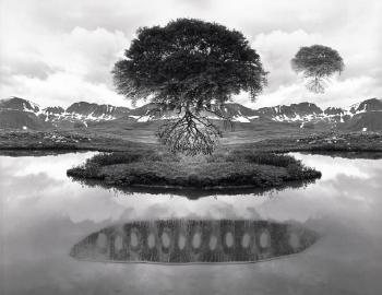 Untitled (floating trees) by 
																	Jerry Uelsmann