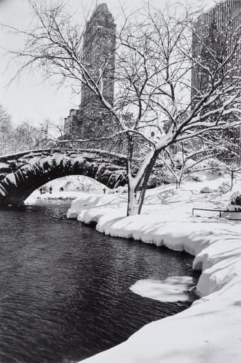 Central Park after a snowstorm, New York by 
																	Alfred Eisenstaedt