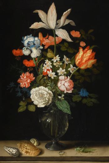Still Life Of Mixed Flowers In A Glass Vase, With Three Shells, A Grasshopper And A Spider On A Tabletop by 
																	Balthasar van der Ast