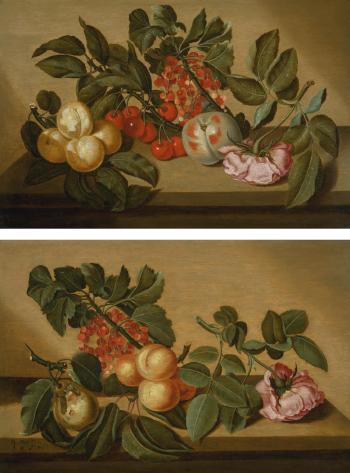 Still Life With Apricots, Cherries, Currants, A Peach, And A Pink Rose On A Ledge; And Still Life With A Pear, Currants, Apricots And A Pink Rose On A Ledge by 
																	Bartholomeus Assteyn