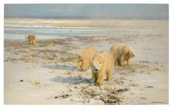 Lone Wanderers (Polar Bears) by 
																	David Shepherd
