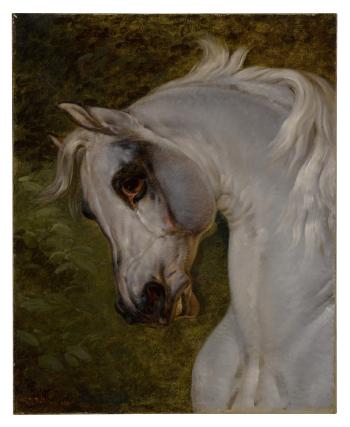 Head of a horse by 
																	Johann Georg Volmar