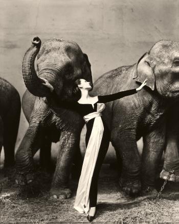 'Dovima with elephants,  Evening dress by Dior, Cirque d'Hiver, Paris, August 1955' by 
																	Richard Avedon
