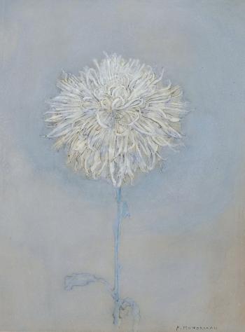 Chrysanthemum by 
																	Piet Mondrian