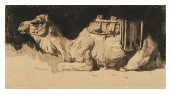 Camel at Rest by 
																	Paul Jouve