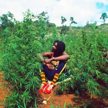 Peter Tosh legalize it by 
																	Lee Jaffe