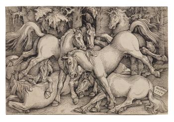 Group of seven Horses by 
																	Hans Baldung Grien