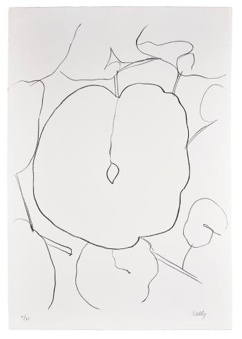 Melon Leaf (Feuille de melon), from Suite of Plant Lithographs by 
																	Ellsworth Kelly