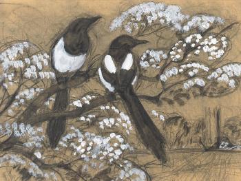 Two Magpies by 
																	Charles Frederick Tunnicliffe