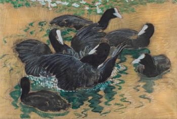 Six Coots by 
																	Charles Frederick Tunnicliffe
