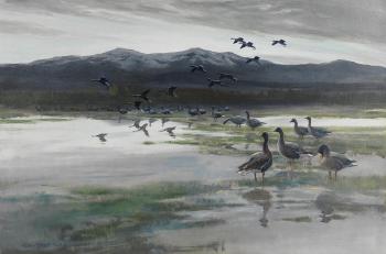 Caspian Dawn, Lesser Whitefronted Geese by 
																	Peter Scott