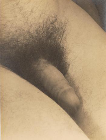 Untitled (George Platt Lynes, Nude) by 
																	George Platt Lynes