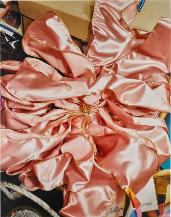 The Pink Bow, 2002 by 
																	Roe Ethridge