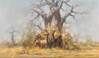 Elephants and a Baobab Tree, Africa by 
																	David Shepherd