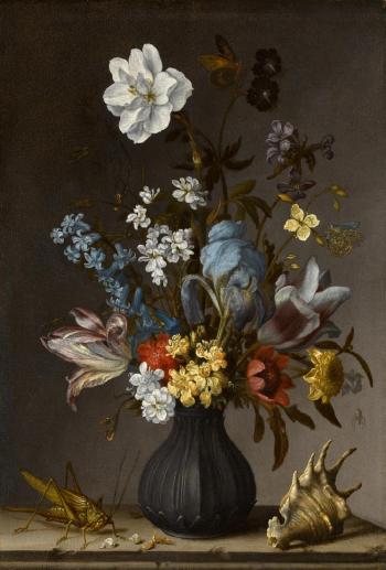 Flowers in a vase on a stone ledge with a sea shell and a grasshopper by 
																	Balthasar van der Ast