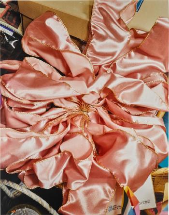 'The Pink Bow', 2002 by 
																	Roe Ethridge