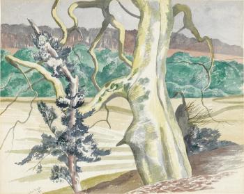 Giant Beech by the Estuary by 
																	John Northcote Nash