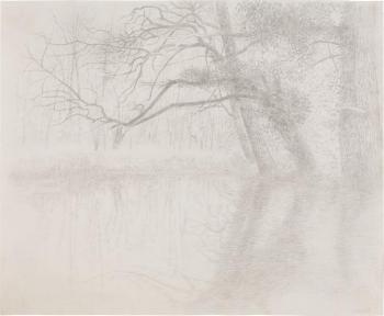 Willows Reflected by 
																	Elizabeth Vellacott