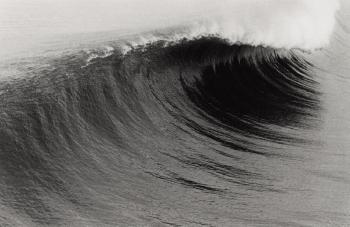 The Wave Portfolio by 
																	Anthony Friedkin
