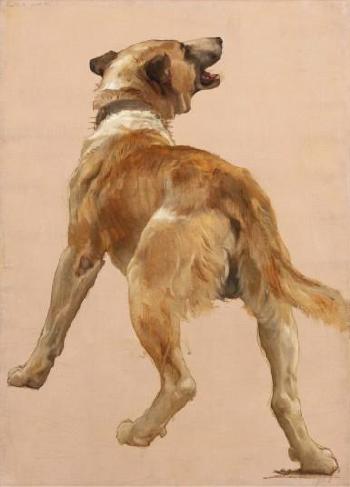 Study of the Dog of Homre et son guide by 
																	William Adolphe Bouguereau