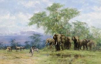 Amboseli by 
																	David Shepherd