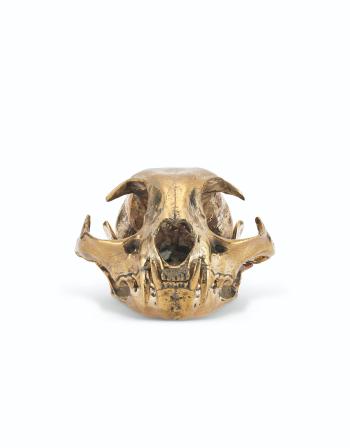 Bobcat Skull by 
																	Sherrie Levine