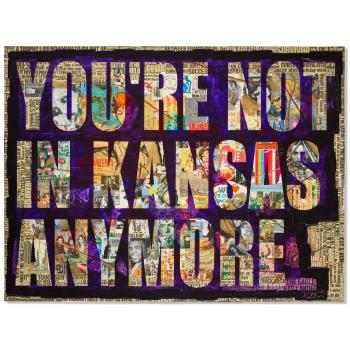 YOU'RE NOT IN KANSAS ANYMORE by 
																	Peter Tunney