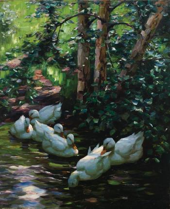 Sechs Enten im Wasser by 
																	Alexander Koester