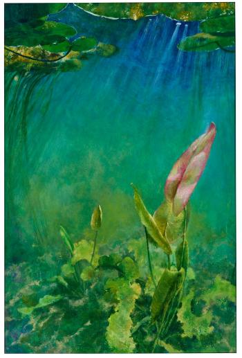 Nymphaeaceae Under the Water by 
																	Lucie O'Moon