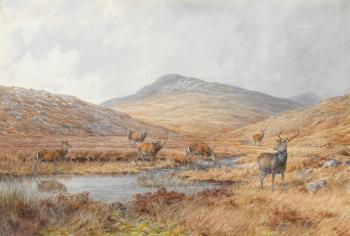 'The Big Stags are Getting Restless'; Stags on the hill; 'If you had seen them both together!': the Gursachan Royal and R. Gordon Cummings fourteen pointer; 'The other lot; and 'The blink' by 
																	Vincent Balfour-Browne