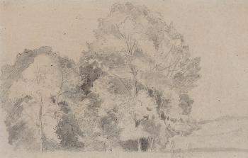 Or&233;e d'un Bois by 
																	Camille Pissarro