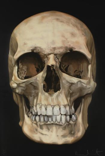 The Skull Beneath the Skin by 
																	Damien Hirst