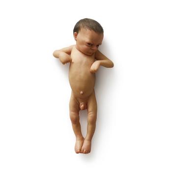 Untitled (Baby) by 
																	Ron Mueck