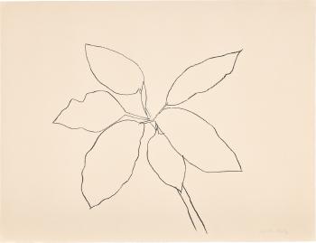 St. Martin Tropical Plant, from Eight Lithographs to Benefit the Foundation for Contemporary Performance Arts, Inc. (G. 957, A. 192) by 
																	Ellsworth Kelly