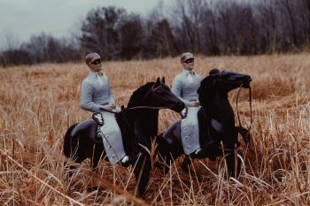 'BrothersHorizon' by 
																	Laurie Simmons