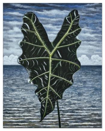 Alocasia Leaf by 
																	Scott Kahn