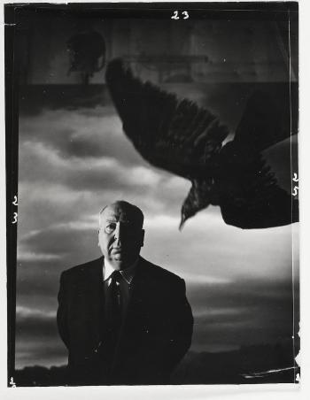 Alfred Hitchcock, The Birds by 
																	Philippe Halsman