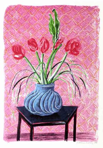 Amaryllis in vase by 
																	David Hockney