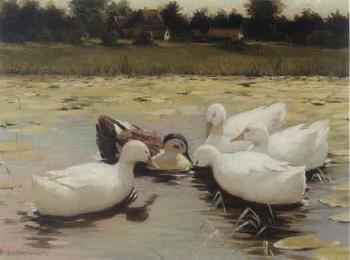 Ducks on a pond by 
																	Heinrich Oesterschmidt